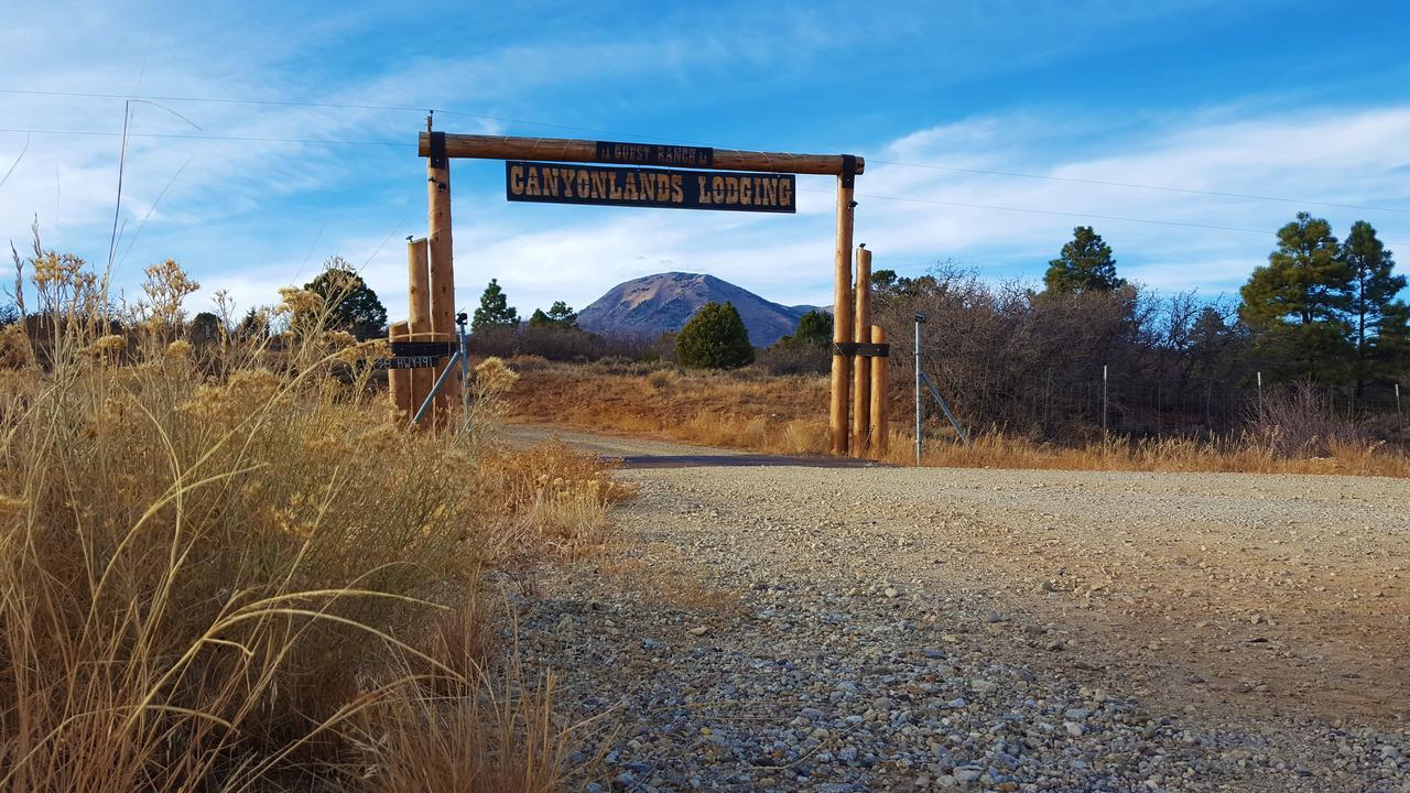 Pavilion And Glamping Village, 3 Cabins, Tipi, Wagon, Kitchen モンティセロ エクステリア 写真